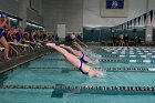 Swimming vs Babson  Wheaton College Swimming vs Babson College. - Photo By: KEITH NORDSTROM : Wheaton, Swimming, Babson